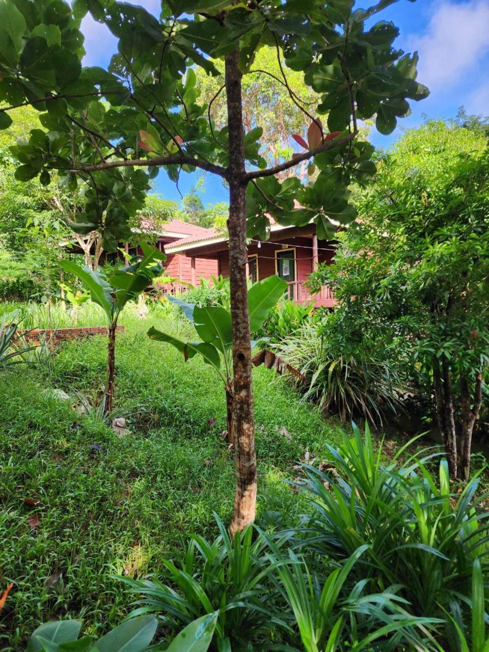 Sweet Jungle Bungalows Kaoh Touch Zewnętrze zdjęcie